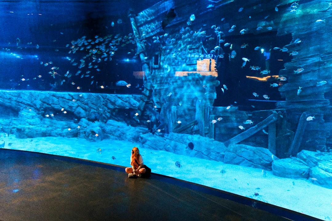 Lotte World Aquarium Hanoi Discount